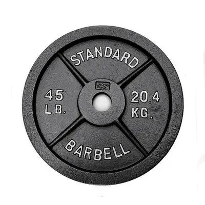 PINJIAN Gym Four Baking Varnish bar Barbell Piece Weightlifting Big Hole Cast Iron 45 Lbs Weight Plates