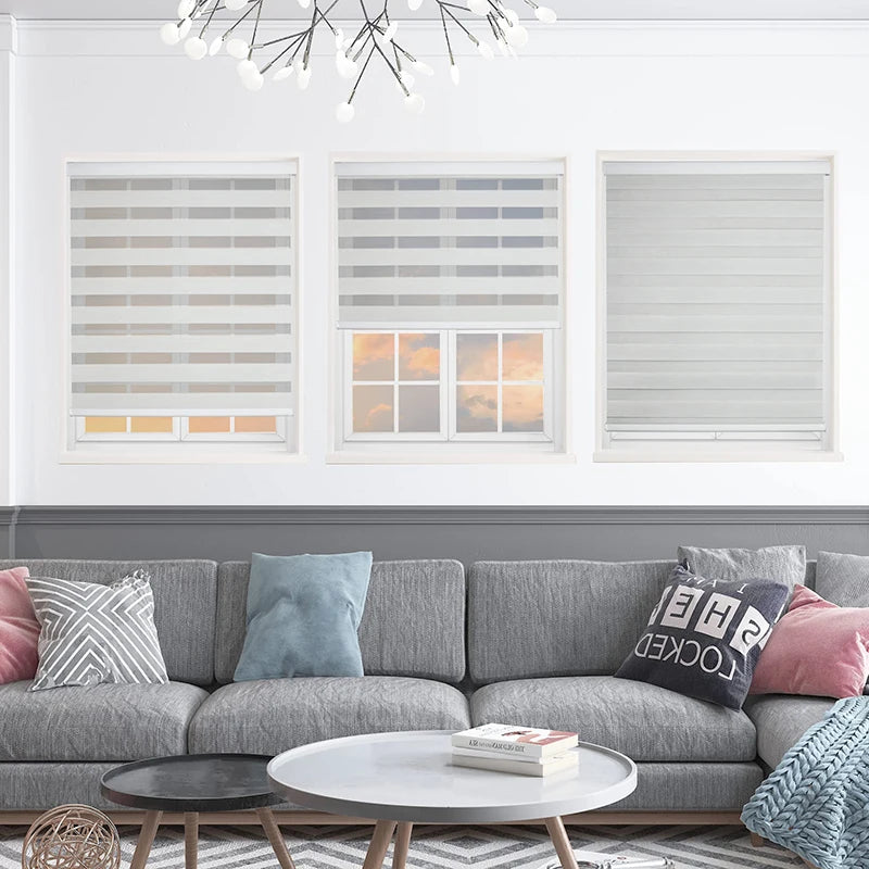 Day and Night Cover Curtains Indoor Window Shade Manual Roller Zebra Blinds