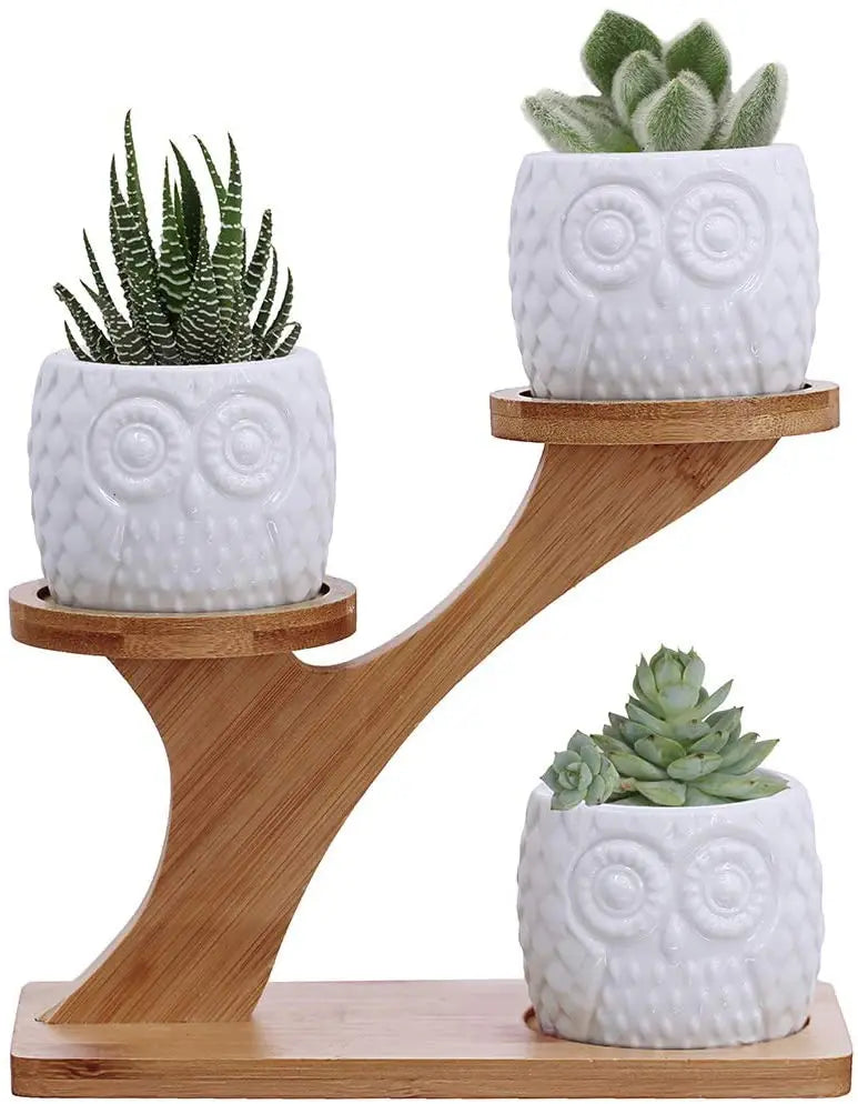 JUNJI Bamboo  Succulent Pots with 3 Tier Bamboo Saucers Stand Holder  Desk Garden Mini  Decoration Flowerpot Holder