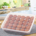 Large Capacity Egg Shockproof Holder Plastic Egg Container with Cover Storage Box Tray for Refrigerator