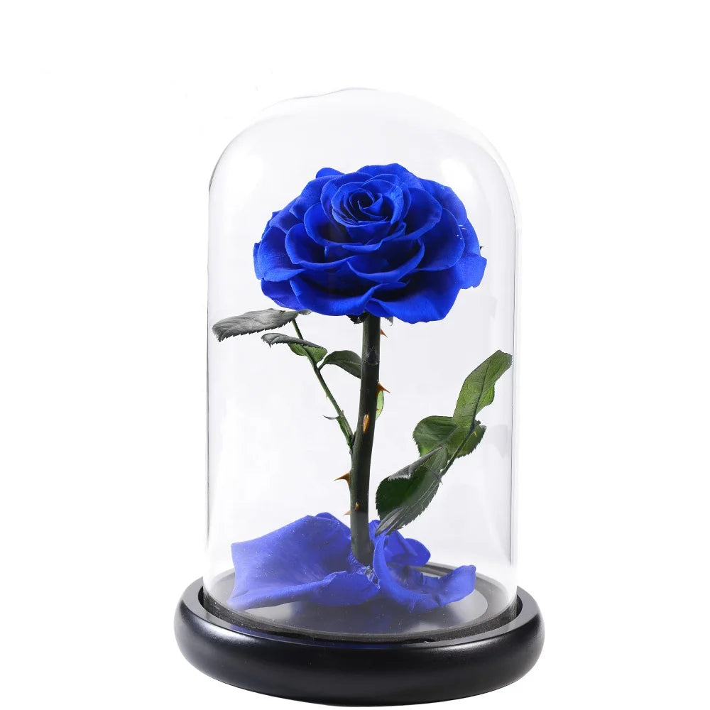 Dropshiping Valentine Gift Beauty and the Beast Loyal Blue Preserved Red Eternal Rose Flower in Glass Dome MegaBDM