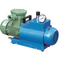 High Volume Laboratory Mini Transformer Vacuumizer Auto Wxf Series Anti-Explosive Oil Free Rotary Vane Vacuum Pump