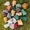 1 Inches Natural Stone Hand Carved Animal Dog Cat Dinosaur Crystal Gemstone Stone for Decoration Kids Gift Making 20-30mm