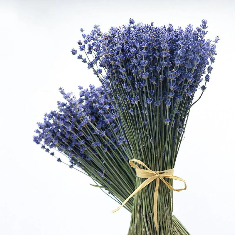 Dried Lavender Bundles 100% Natural Dried Lavender Flowers for Home Decoration
