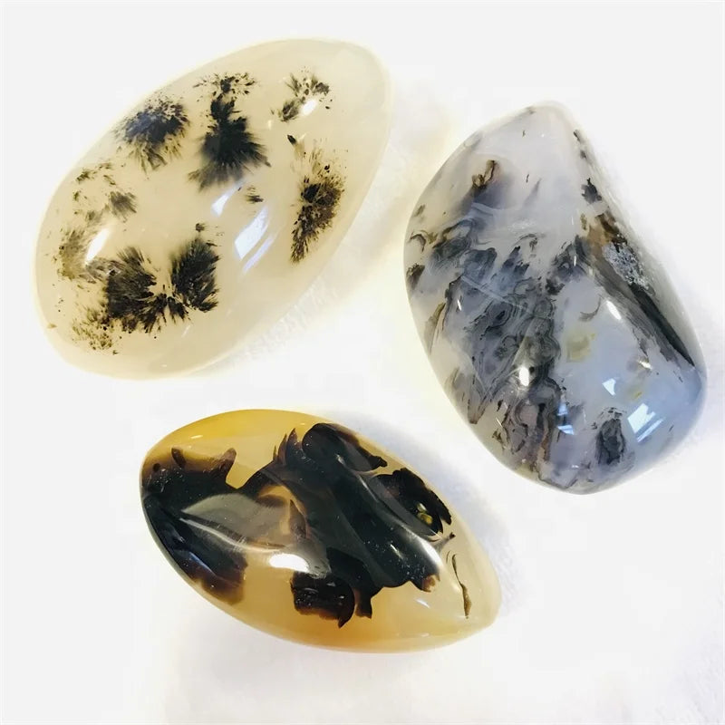 Wholesale Natural High Polished Dendritic Agate Crystal Palm Stone for Gift Healing Decoration