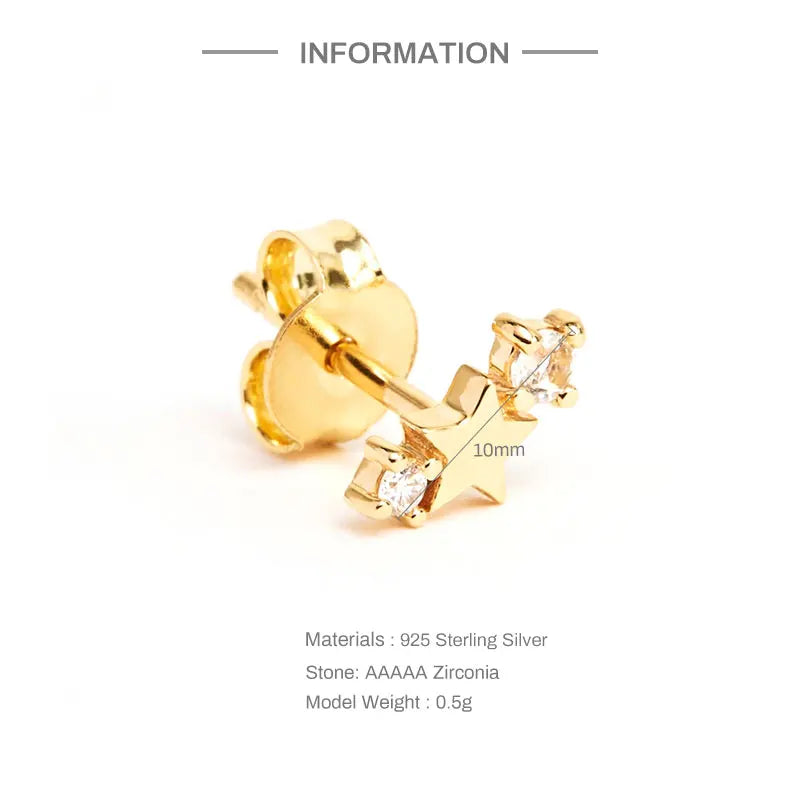 CANNER Fashion Ins Five-pointed Star Twelve Birthstone S925 Sterling Silver Diamond Stud Earrings Capricorn