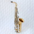 Good Quality Chinese Alto Saxophone Saxofon Alto Cheap Price Alto Sax