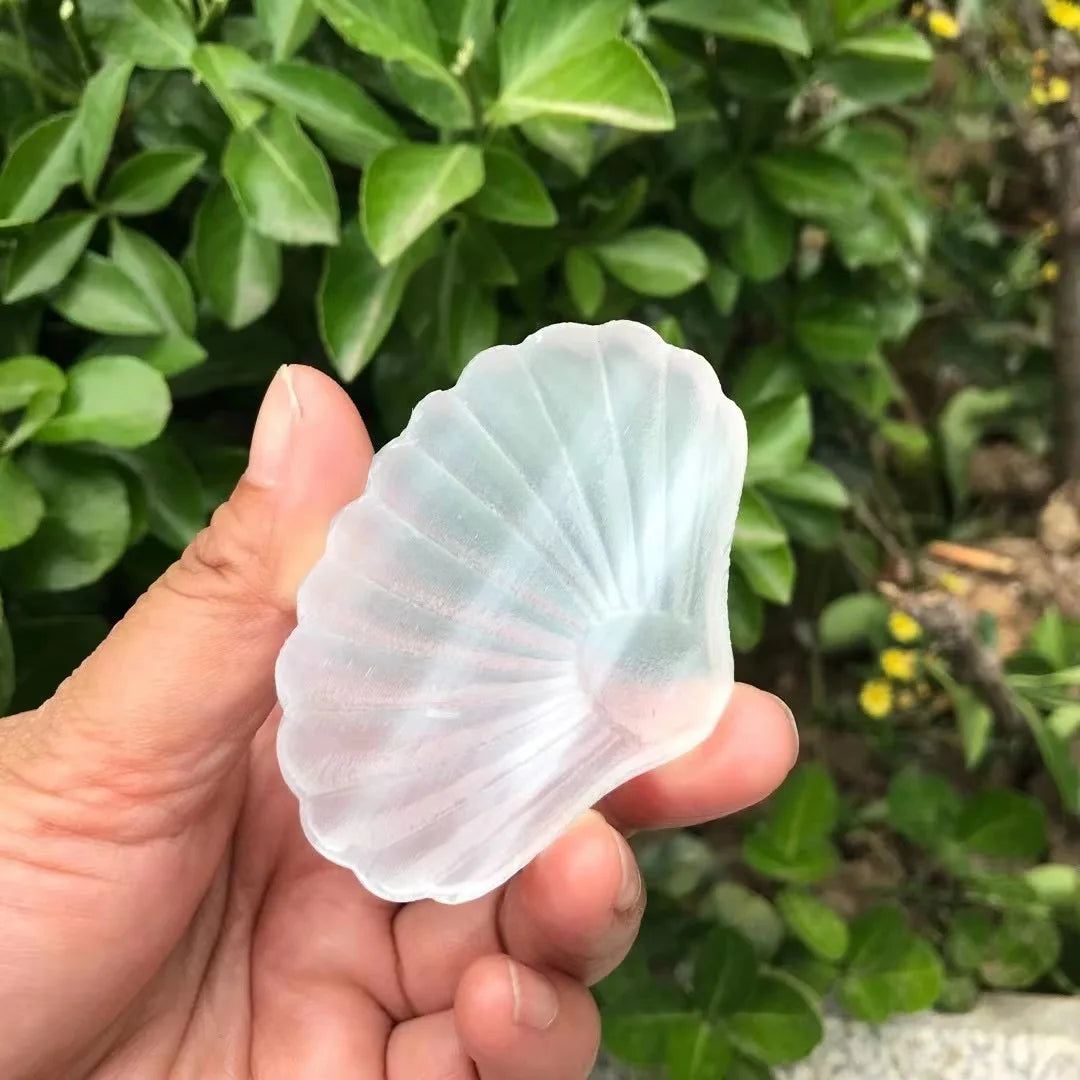 Hot Sale Natural Selenite Crafts Conch Shell Carved Crystal for Decoration