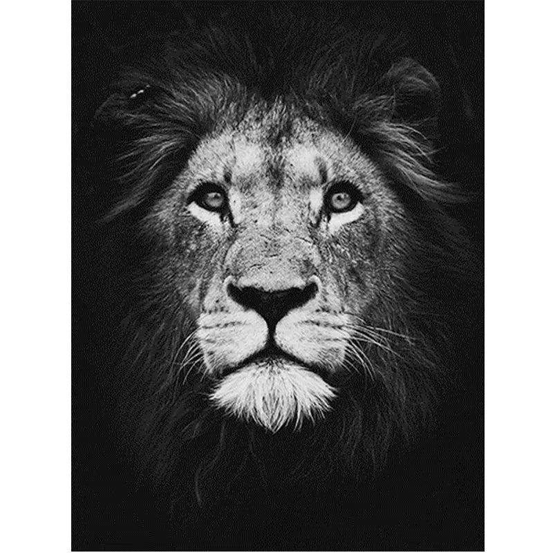 Meian New Design Abstract Animal DIY Handpainted Handmade Diamond Embroidery Painting 30x40cm by Diamonds Home Canvas Poster