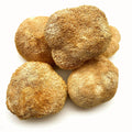 2025 Cultivated Air-Dried Lion's Mane Bearded Tooth Mushroom Raw Processing Polysaccharides Beta D Glucan Size 4 8cm for