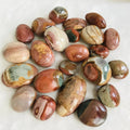 Natural Desert Jasper Different Sizes Ocean Palm stone Polychrome Stone Palm Stone