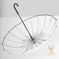 POE Transparent Fiberglass Frame Classic Semi-Automatic Travel Umbrella 16K Windproof Waterproof for Adults Casual Hanging