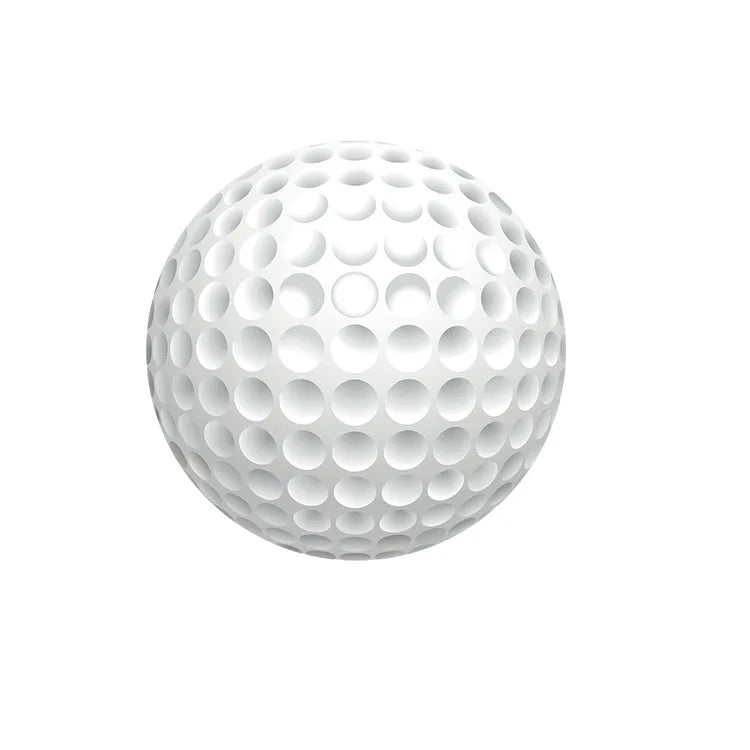 Brand New Double Layer Golf Practice Ball with Printable Logo for Next Game Premium Quality Balls