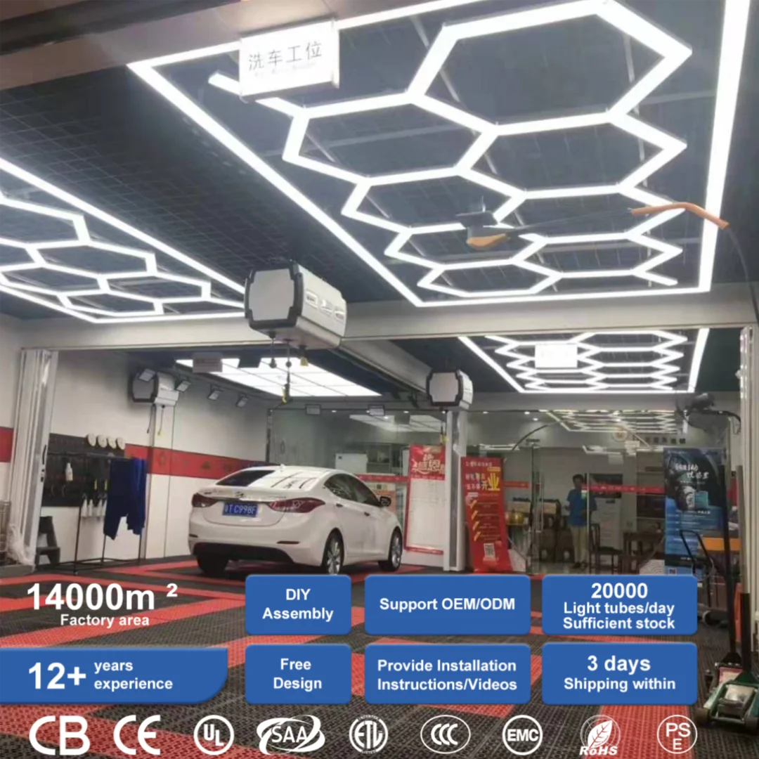 Hot Sale High Effective DIY Modern Equipment ZT5028 LED Decorative Ceiling Lights