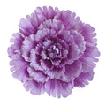 O-X307 Wholesale Large Artificial Giant Peony 50cm Giant Peony Head Silk Artificial Flower for Wedding Stage Props