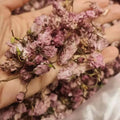 Wholesale High Quality 100% Pure Natural Dried Cherry Blossom Flower