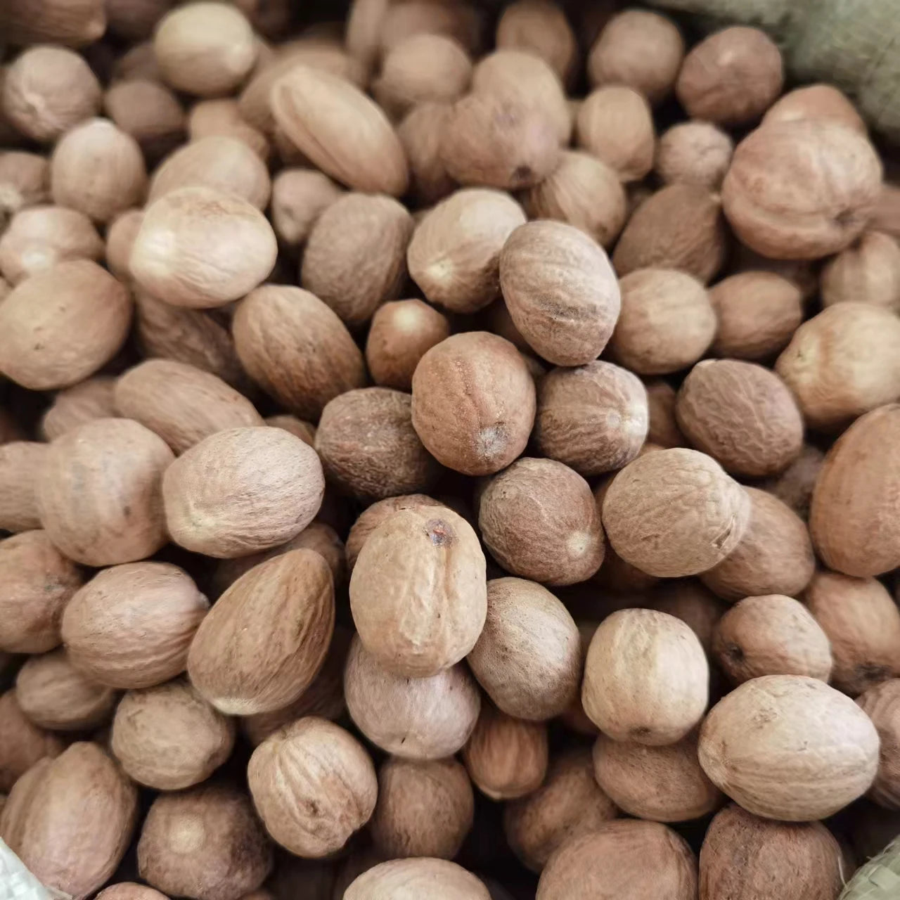 Spices 100% Pure Natural Origin Indonesia Nutmeg Without Shell Top Quality Dried Whole Nutmeg