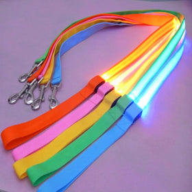 Wholesale New Product Lighting Walking Night Glowing USB Rechargeable LED Dog Leash