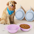 OEM ODM Outdoor Portable Collapsible Pet Dog Cat Travel Bowl Food Grade Silicone Foldable Dog Bowl