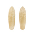 Skate Board Wholesale 7 Ply Maple Wood wear-resistant and pressure-resistant Skateboard skateboard blank deck