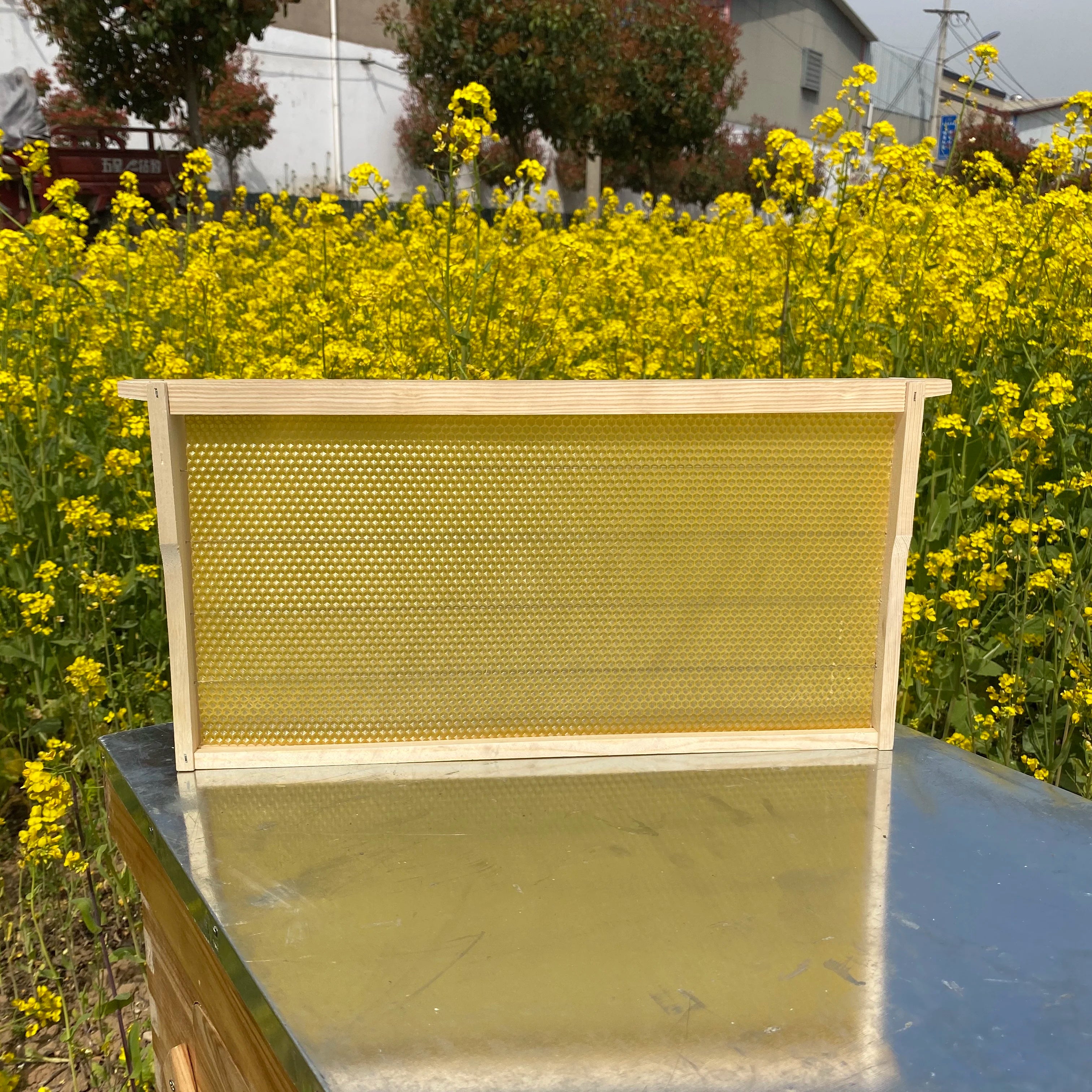 Manufacturers Sell a Large Number of New Honeycomb Frames and Beeswax Bases
