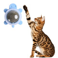 Turtle Shape Mint Ball Catnip Destuffing Cat Toy Ball