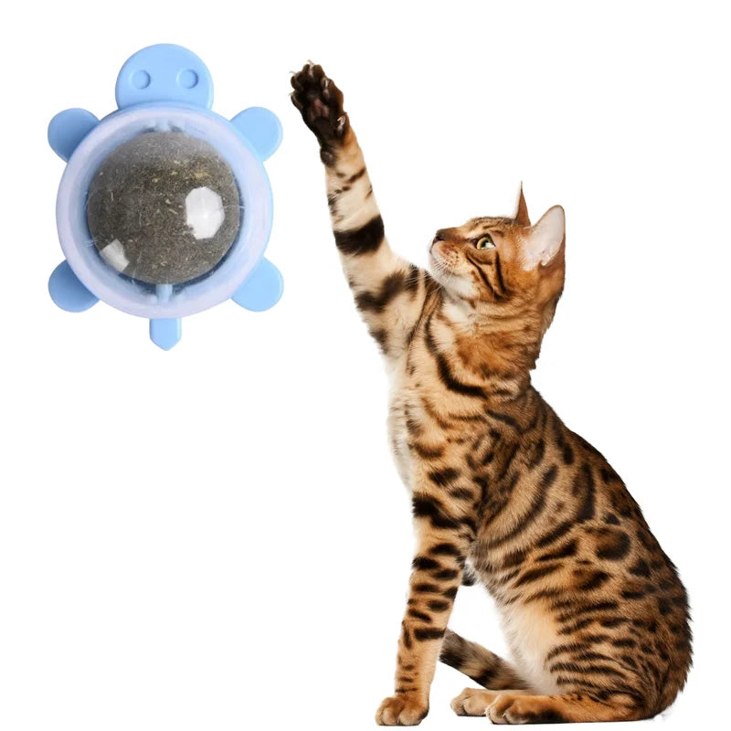 Turtle Shape Mint Ball Catnip Destuffing Cat Toy Ball