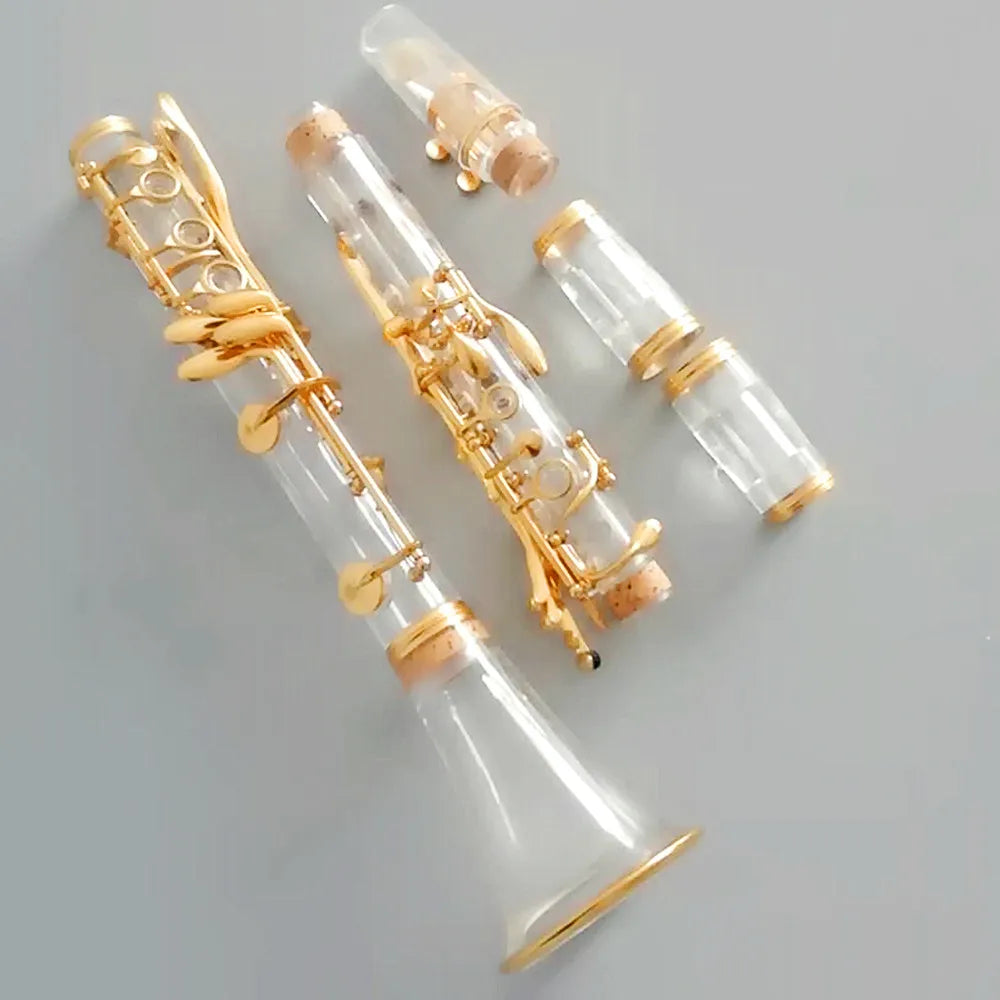 Manufacturer Direct Transparent plexiglass Clarinet 17 Keys Gold Plated  Instruments