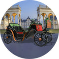 2025 Sightseeing Horse Cart Special Transportation Horse Drawn Modern Electric Horse Carriage