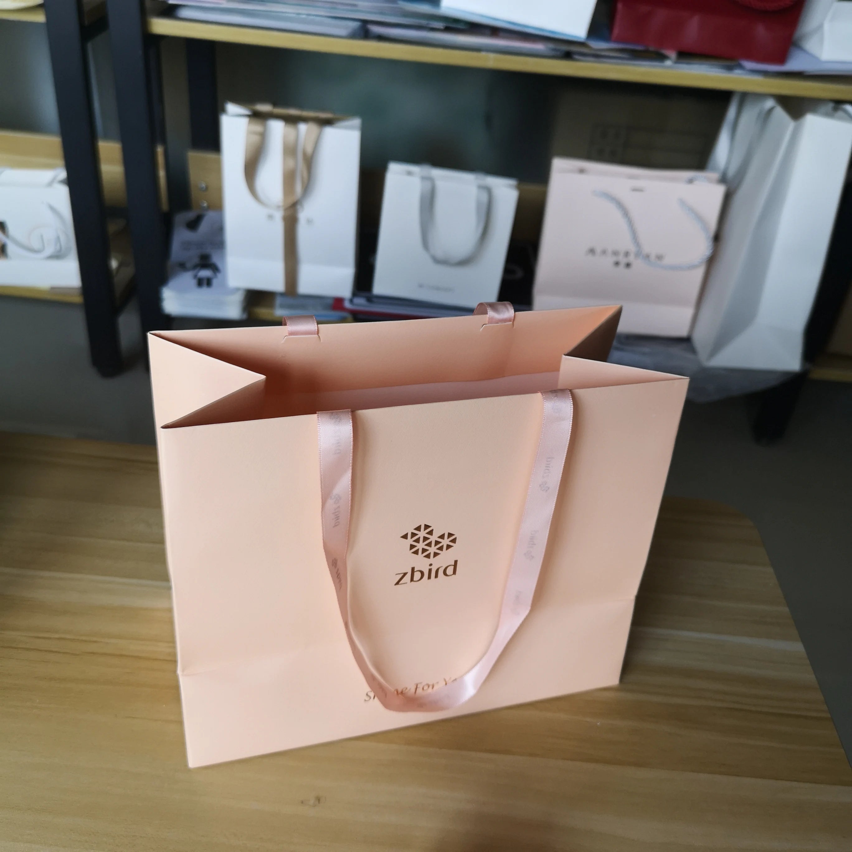Custom Logo Printed Washable Offset Paper Bag for Clothing Shoes & Accessories Kraft Coated Cardboard Packaging