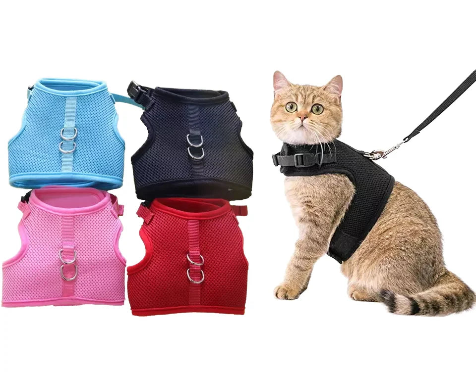Luxury XS Small Pet Vest with Fashionable Dutch Animal Buckles Polyester Pet Leash and Chest Strap for Cats and Dogs