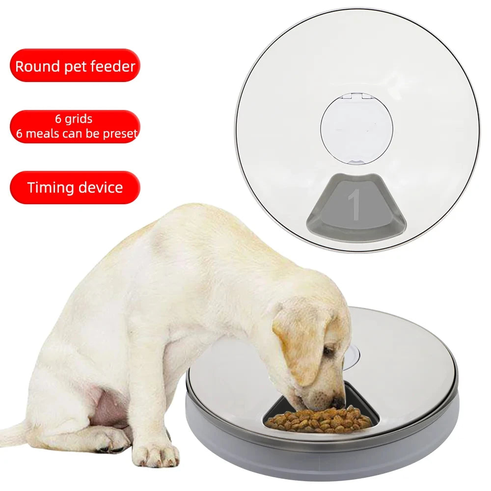 Pet Supply 6-Meal Dog Automatic Pet Feeder LCD Programmable Setting Pet Food Dispenser in Stock