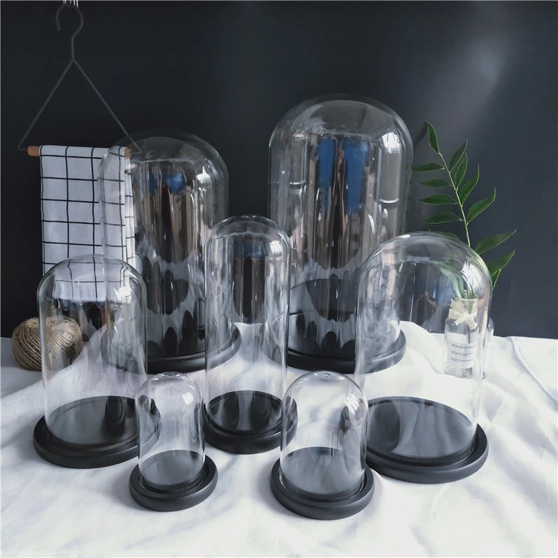 Handmade Clear Borosilicate Glass Display Dome Cloche With Wood Base