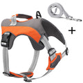 2022 Manufacturers Custom Logo Reflective Adjustable Nylon Heavy Duty No Pull Outdoor Soft Padded Pet Vest Dog Harness