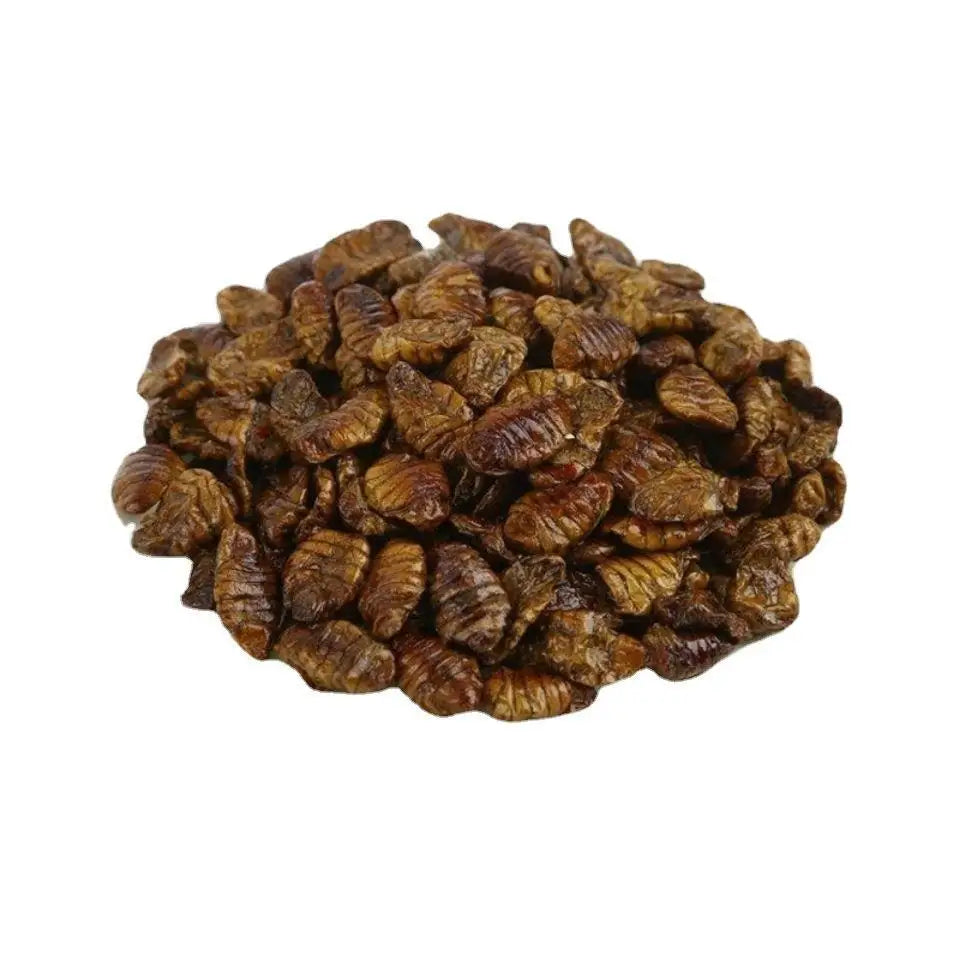 High Quality Food Grade Dried Whole Silkworm Pupae for Sale