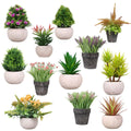 Artificial Flower Pots Planters Real Touch Small Faux Plant in Plastic Potted for Outdoor Indoor Office Desk Decor