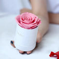 2026 Best Seller Preserved Eternal Rose in Box for Mother's Day Gift Wedding Decoration