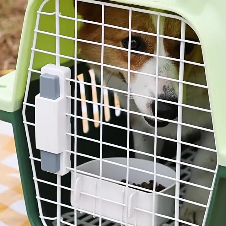 Colorful PP Plastic Pet Carrier/Pet Flight Cage/Dog Transport Box Travel Bag for Cars for Airplane