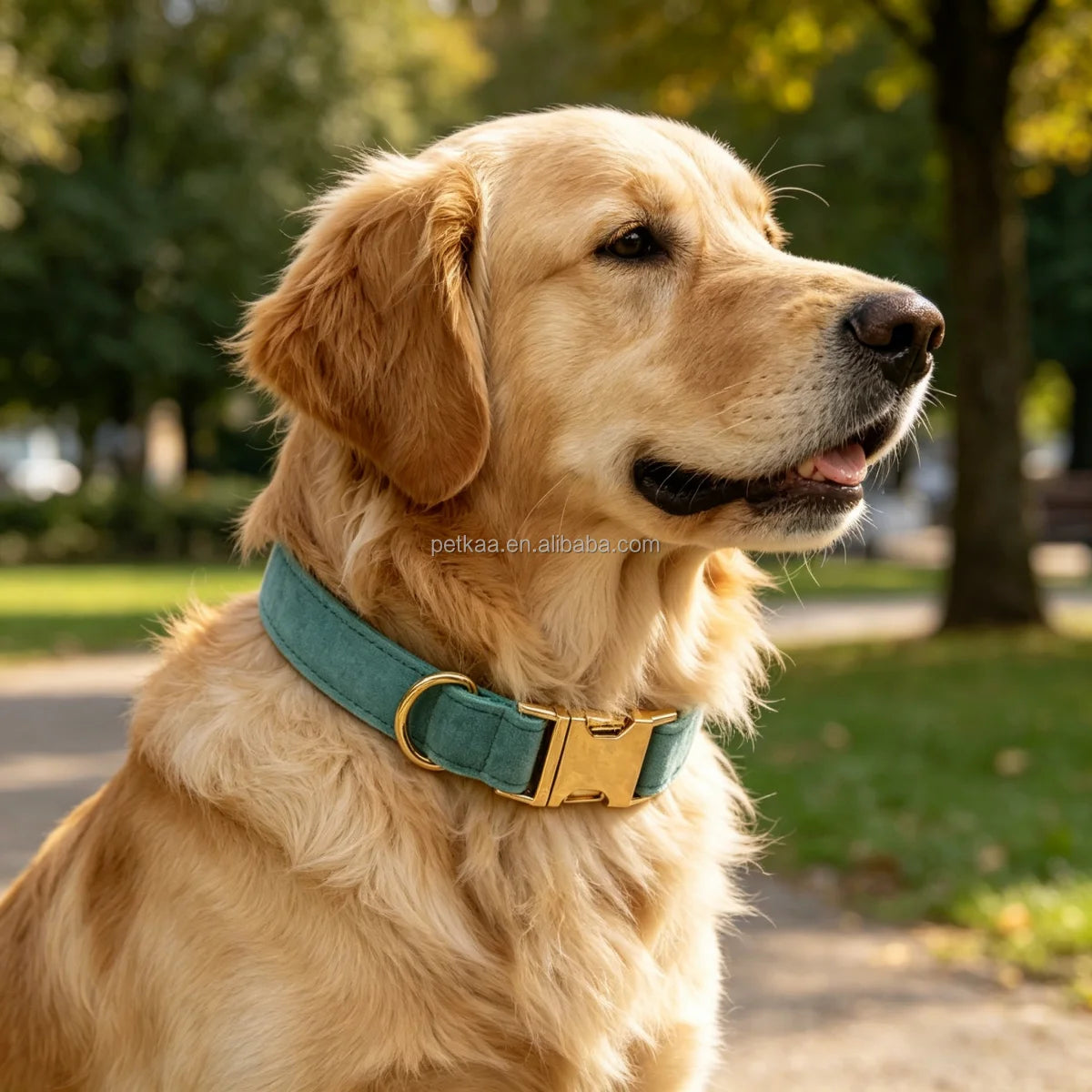 Fast Delivery Luxury Green Velvet Dog Collar Accessories Laser logo Custom in Stock New Design Gold Metal Buckle for Decoration MegaBDM