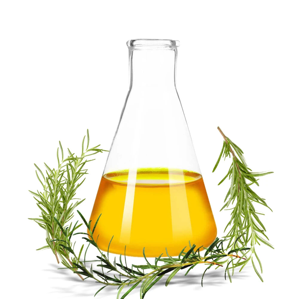 Bulk Wholesale 100%Pure Natural Tea Tree Essential Fragrance Oil Supplier Tea Tree Oil