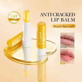 OEM Custom Private Logo Organic Multi Flavor Moisturizing Dry Crack Repair Remove Dead Skin Lip Balm