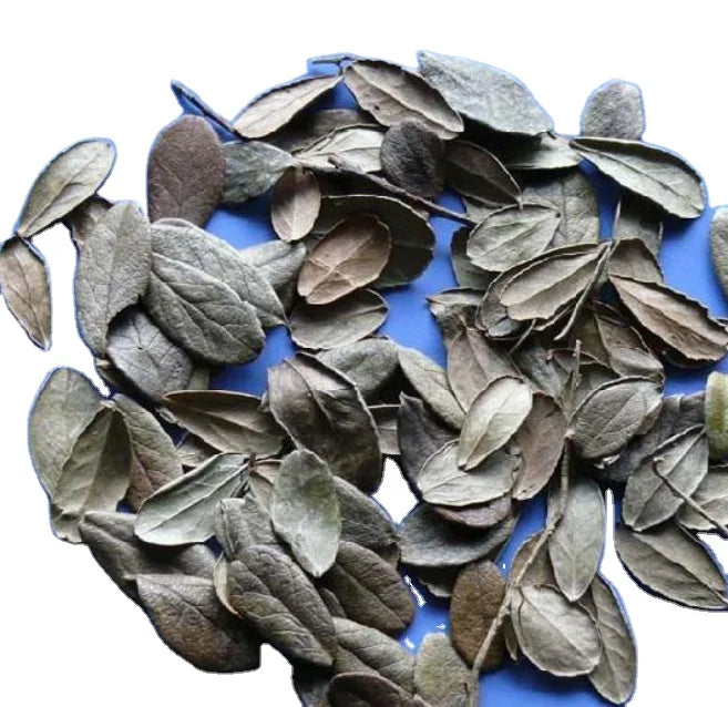 Natural Raw 100% Natural Dry Bearberry Leaves Loose Dried Bearberry Leaf Tea
