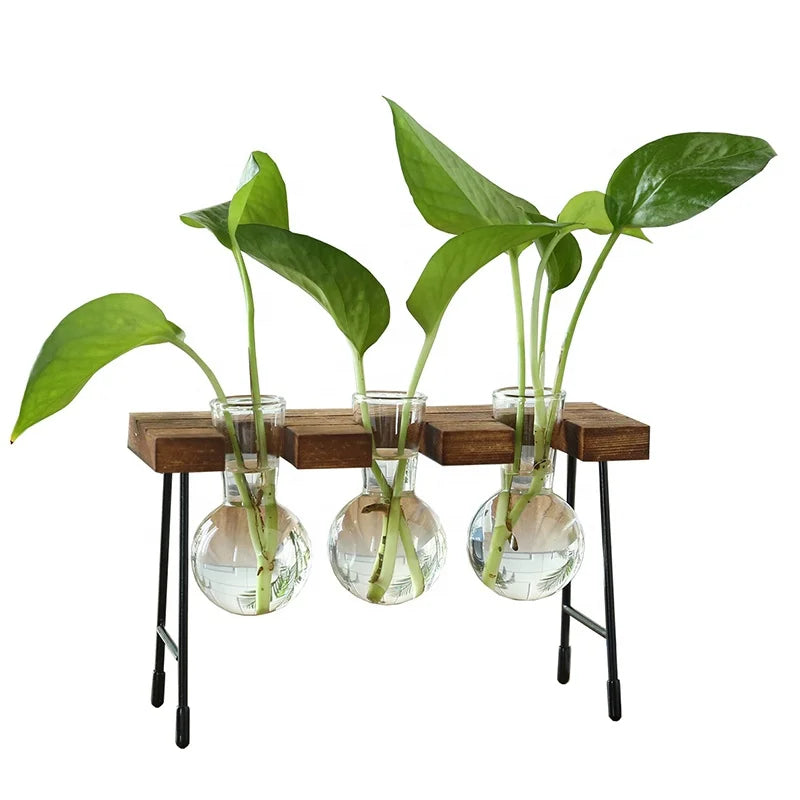 Indoor Wooden With Stand Water Planting Propagation Stations Air Glass Planter Bulb Plants Wood Planter Terrarium