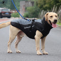 Small Animal Waterproof Eco-Friendly Cotton Sport Coat Harness Furry Collar Warm Pet Clothing Jacket Chinese New Year
