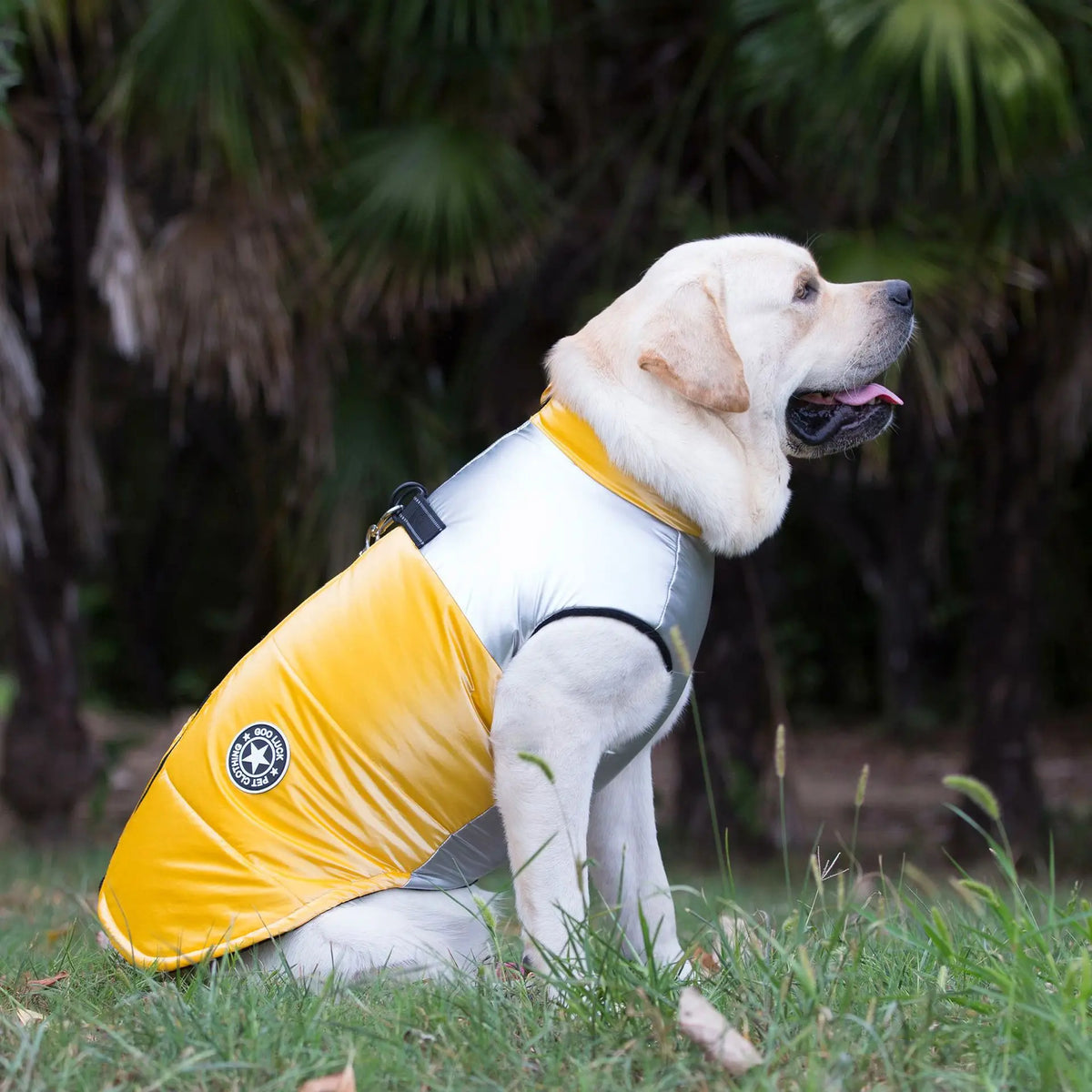 9XL Big Size Dog Coat Large Dog Reflector Jacket Pet Winter Padded Fleece Heavy Out Coats L Dogs Clothes Apprarel