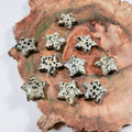 Huiying Wholesale Natural Hand Carved Star Of Crystal Carving Star Shape Dalmatian Jasper Stone New Age Fashion Crafts