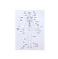 1/6 1/12 Doll House Simulation Miniature Mini Human Body Structure Diagram Model Decor