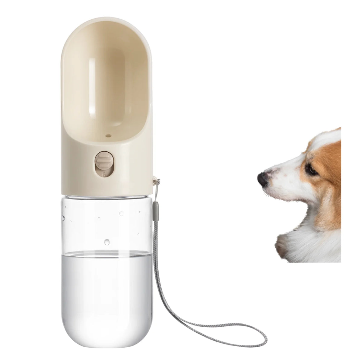 Dual Wall Insulated Travel Water Bottle Portable Dog Water Dispenser with Leak Proof Design New Outdoor Pet MegaBDM