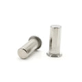 Donguan Hot Sale Customized  Decorate Flat Head Half Hollow Wholesale Tubular Rivet Manufacturing