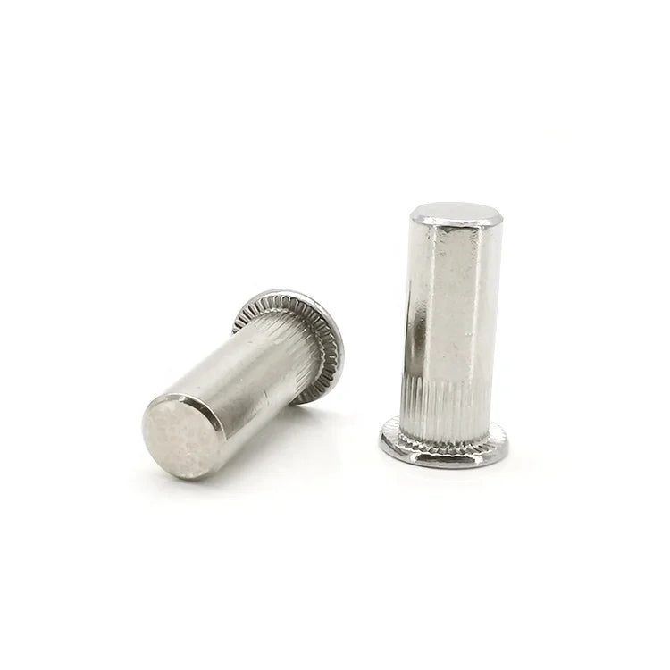 Donguan Hot Sale Customized  Decorate Flat Head Half Hollow Wholesale Tubular Rivet Manufacturing